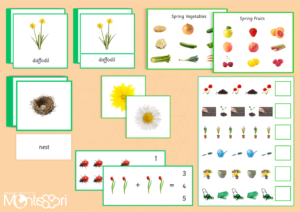 Spring Learning Pack