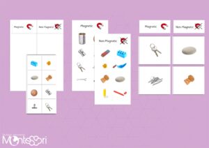 Magnetic & Non-Magnetic Sorting Cards