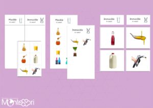 Miscible & Immiscible Sorting Cards