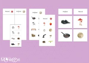 Natural & Artificial Sorting Cards