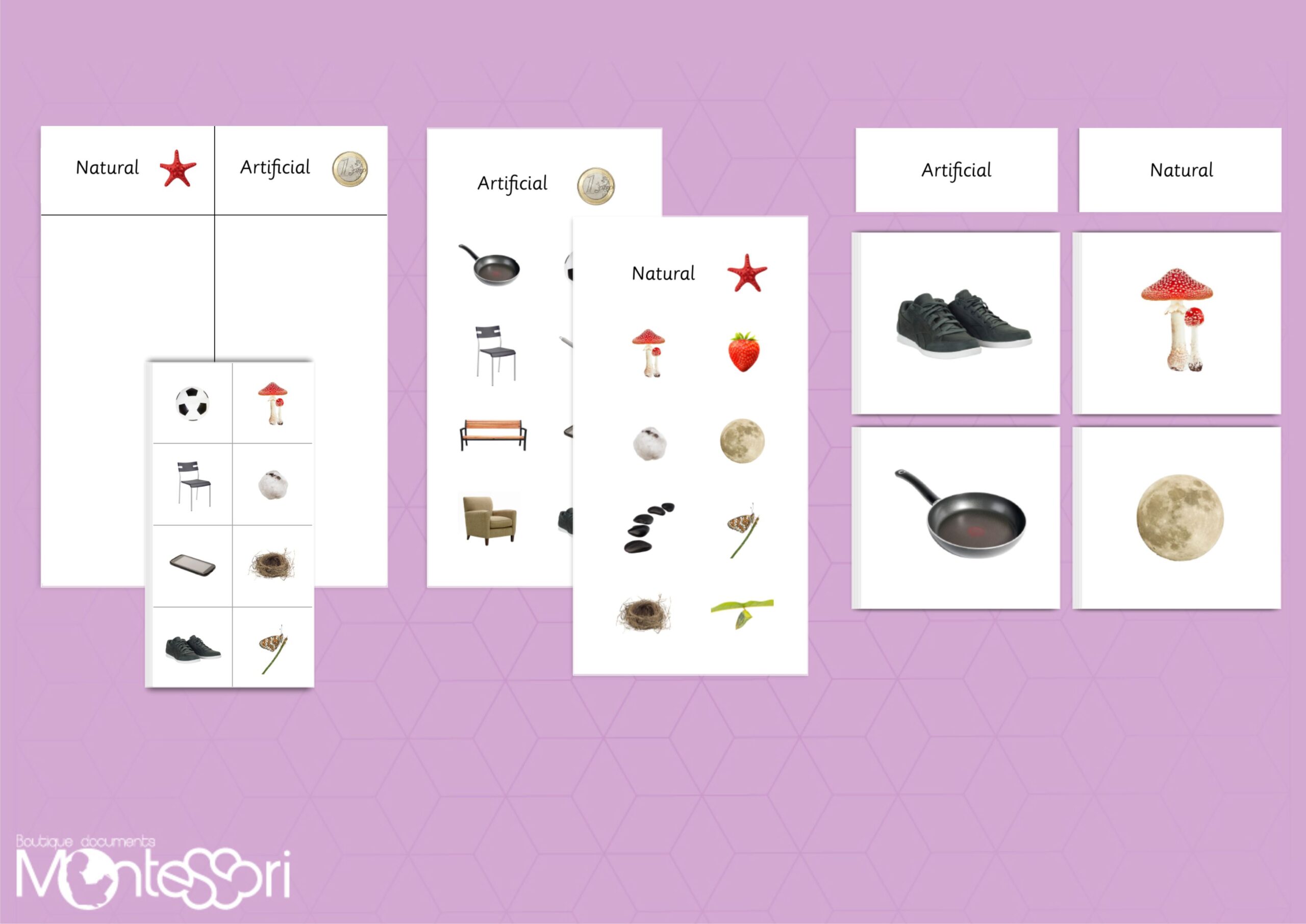 Natural & Artificial Sorting Cards