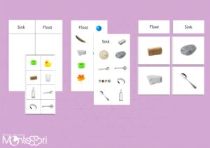 Sink or Float Sorting Cards