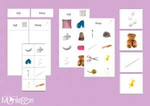 Soft & Sharp Sorting Cards